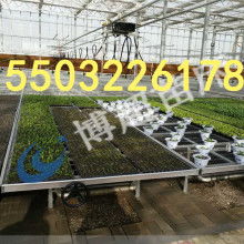 安平县博超金属丝网厂专业供应金属丝网产品